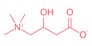 Carnitina