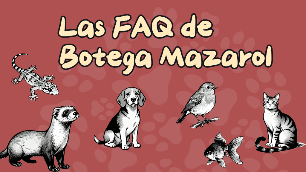 FAQ de Botega Mazarol