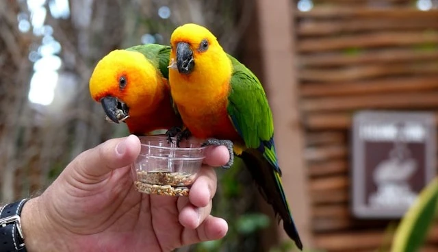 annie-lang-hpY7UbD6aNc-unsplash loros home botega mazarol