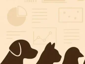 recursos y tablas recursos y tablas botega mazarol